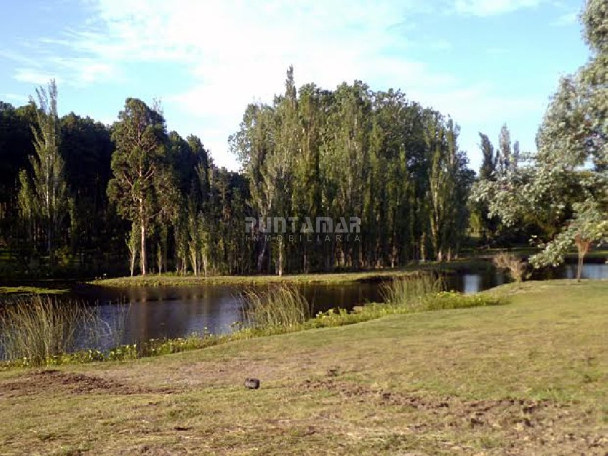 Terreno ID.211432 - Terreno en Punta Ballena, Punta Ballena