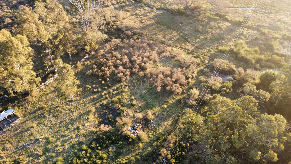 Chacra ID.4543 - Chacra en venta sobre ruta 9 