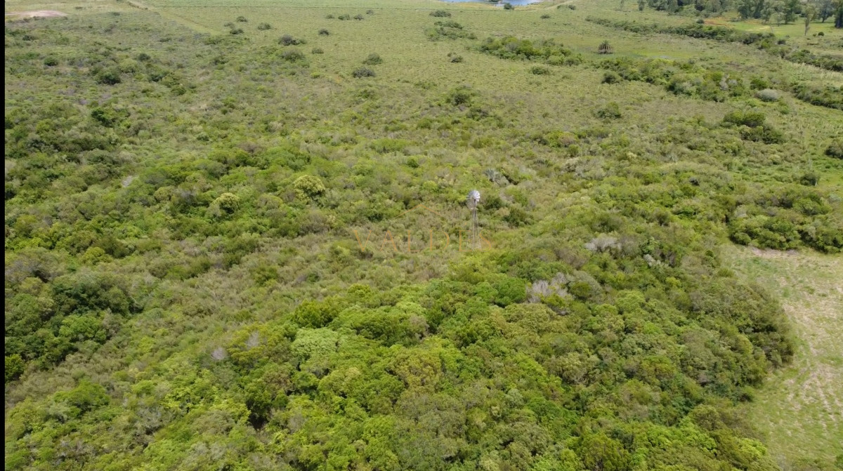 Chacra ID.2921 - Venta de chacra de 8has, Pan de azúcar 