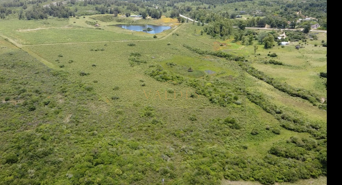 Chacra ID.2921 - Venta de chacra de 8has, Pan de azúcar 