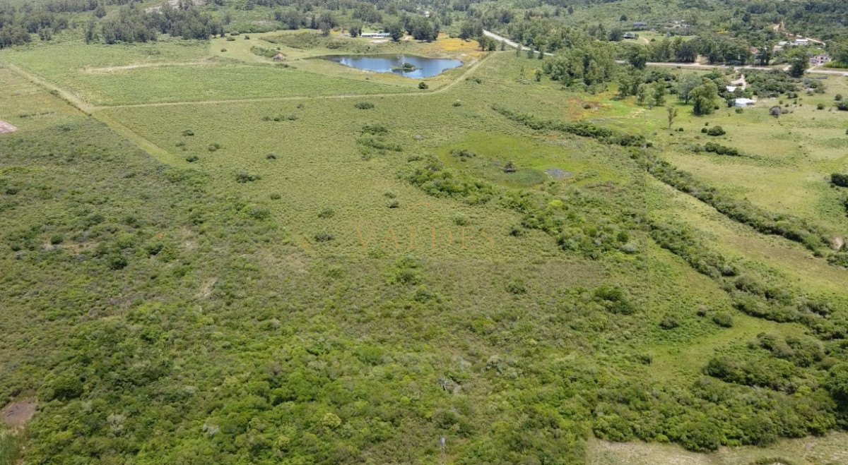Chacra ID.2921 - Venta de chacra de 8has, Pan de azúcar 