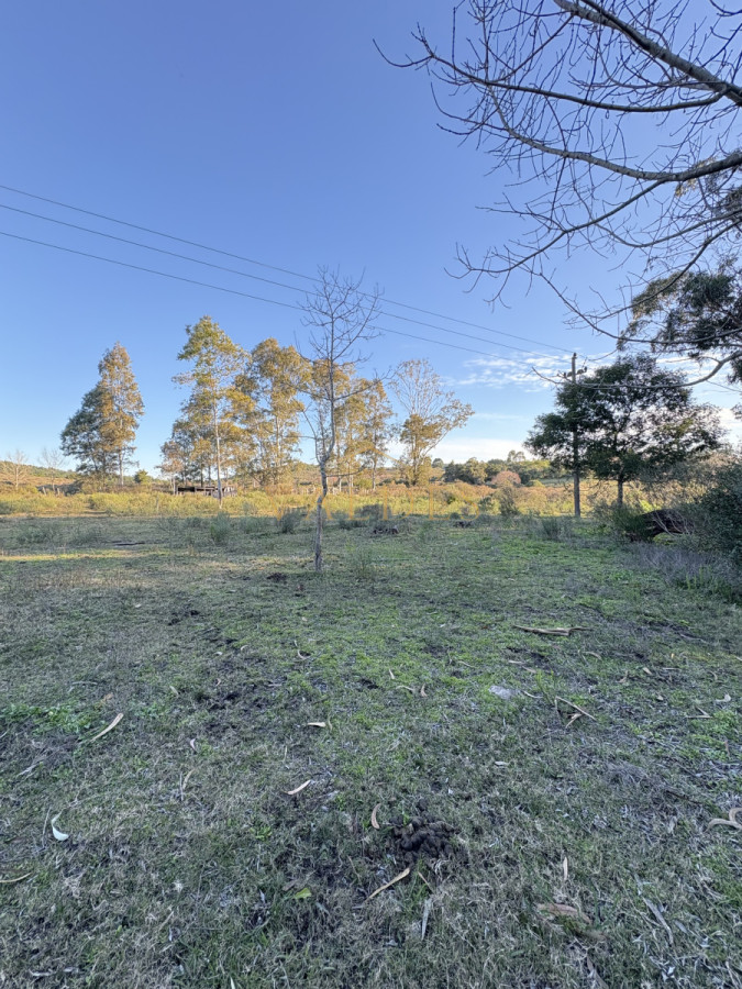 Chacra ID.4543 - Chacra en venta sobre ruta 9 