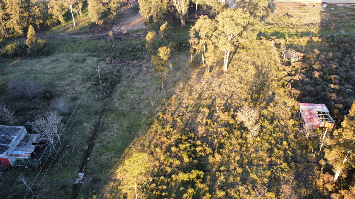 Chacra ID.4543 - Chacra en venta sobre ruta 9 