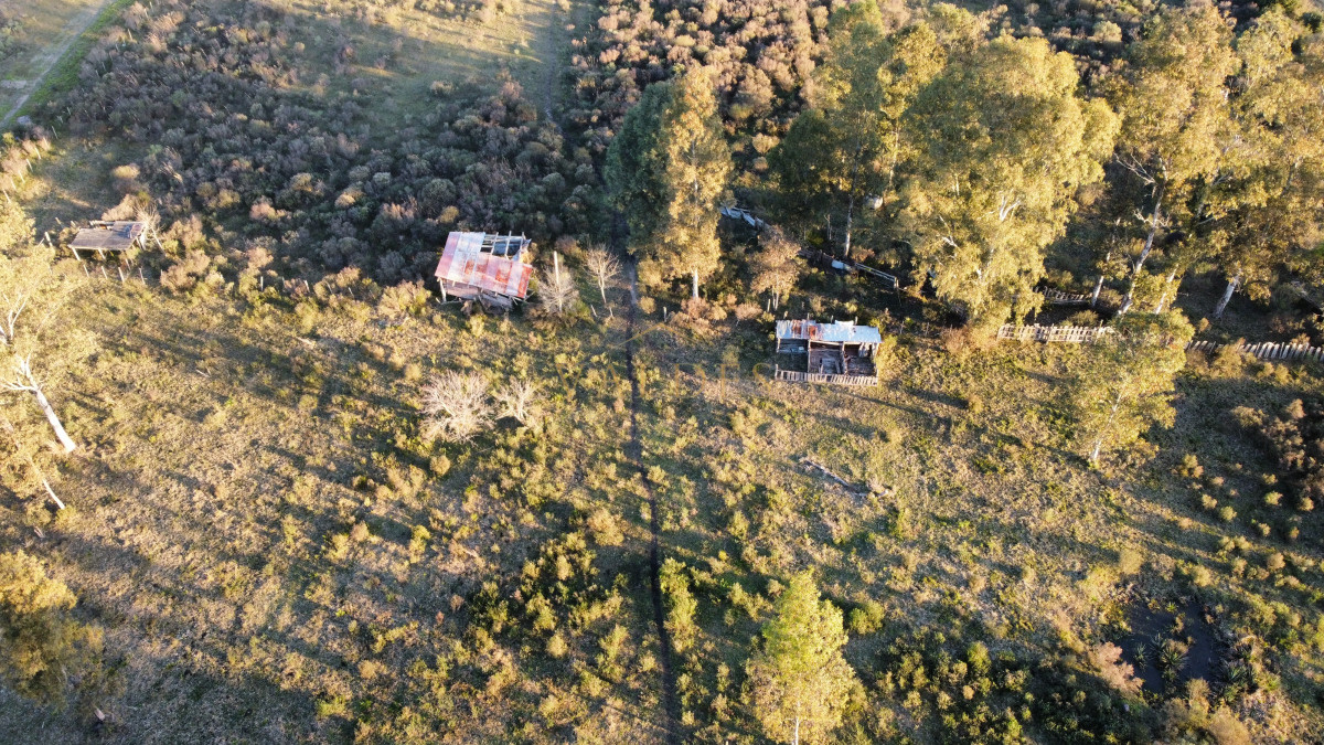 Chacra ID.4543 - Chacra en venta sobre ruta 9 