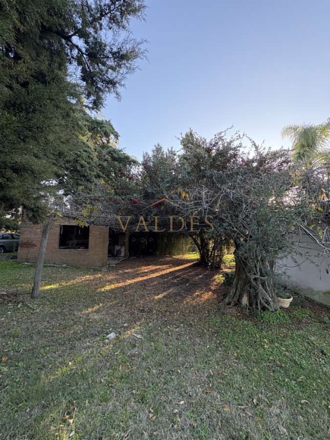 Chacra ID.4543 - Chacra en venta sobre ruta 9 