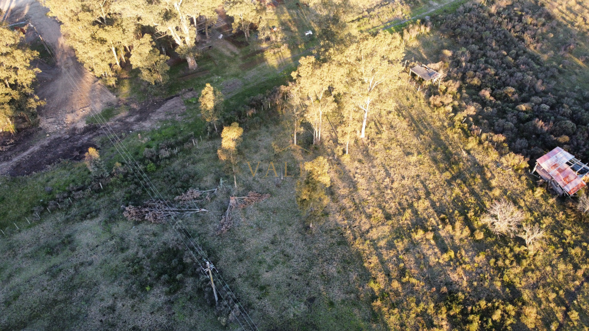 Chacra ID.4543 - Chacra en venta sobre ruta 9 