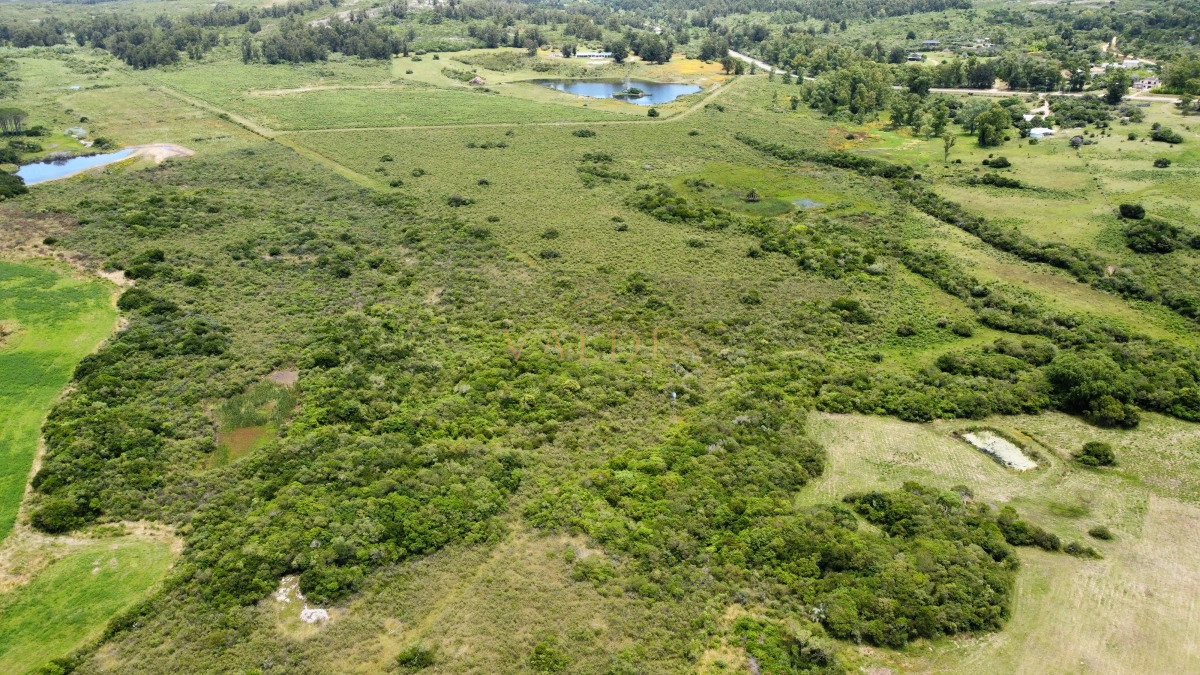 Chacra ID.2921 - Venta de chacra de 8has, Pan de azúcar 