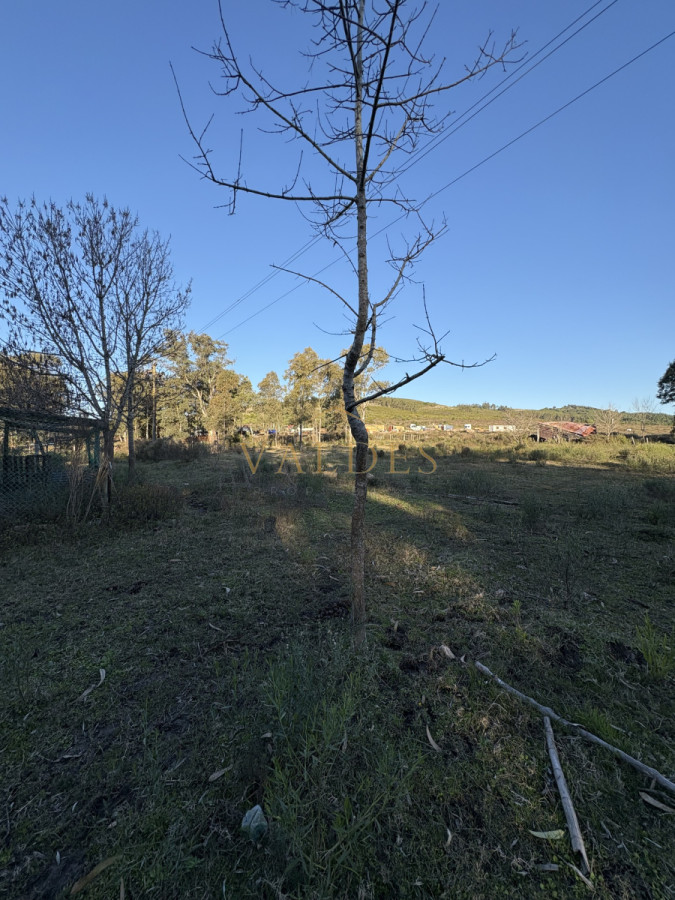 Chacra ID.4543 - Chacra en venta sobre ruta 9 