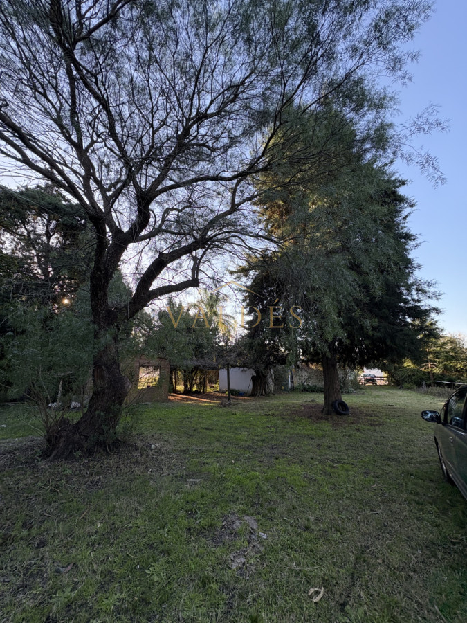 Chacra ID.4543 - Chacra en venta sobre ruta 9 