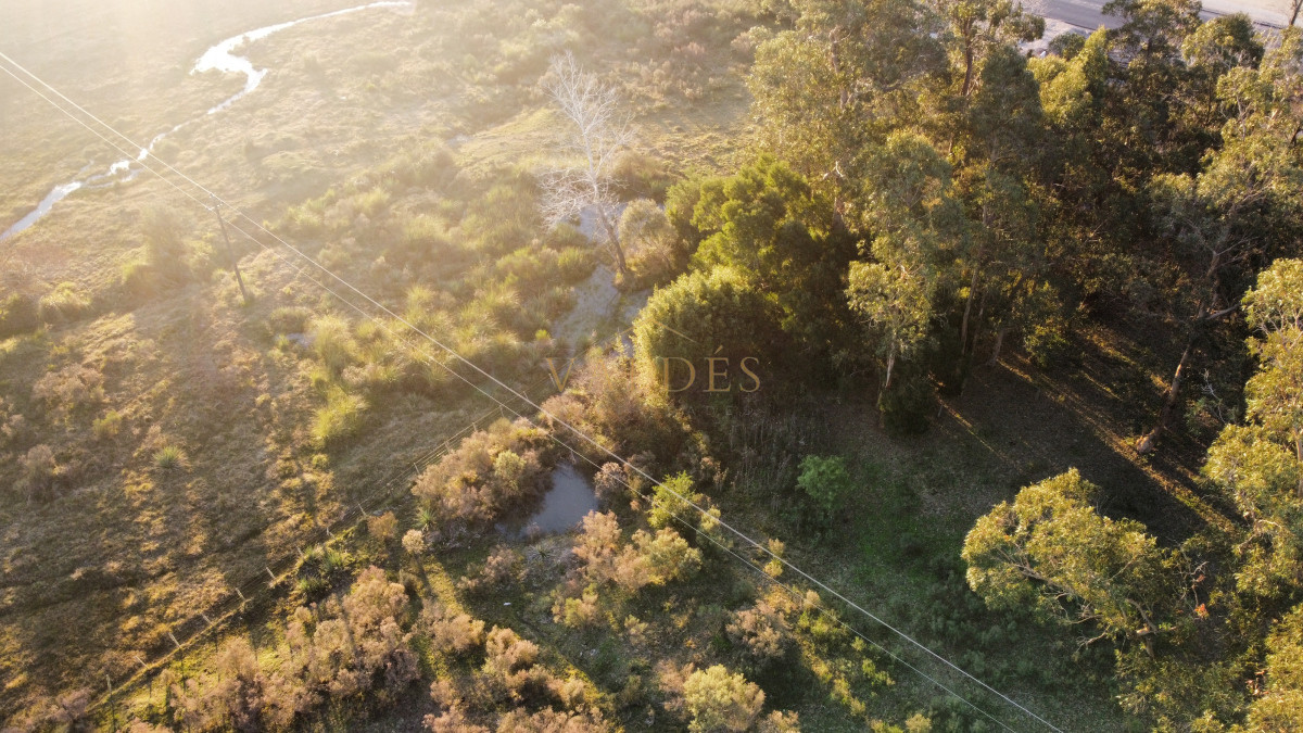 Chacra ID.4543 - Chacra en venta sobre ruta 9 