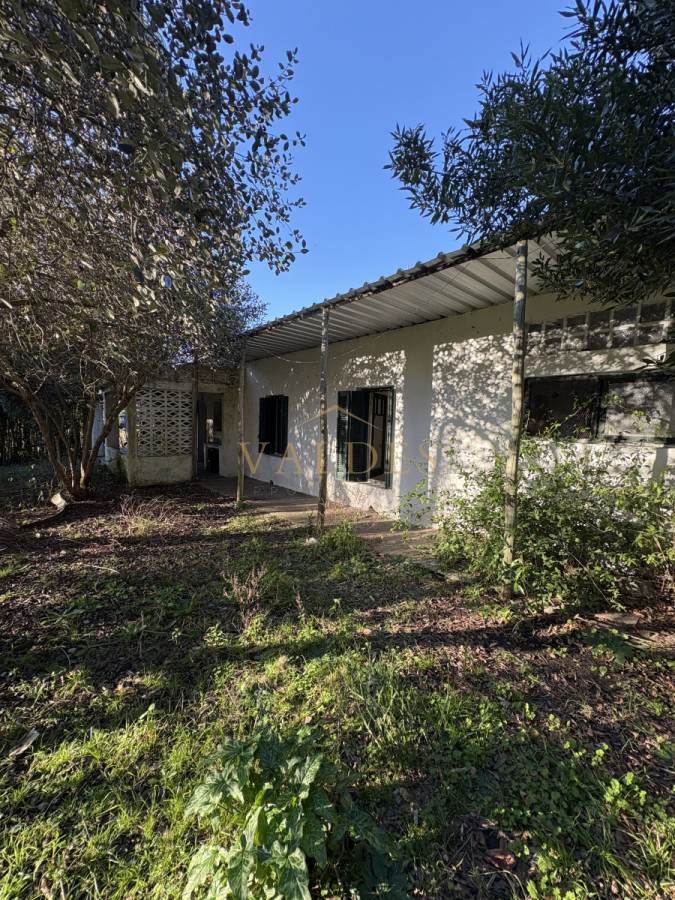 Chacra ID.4543 - Chacra en venta sobre ruta 9 