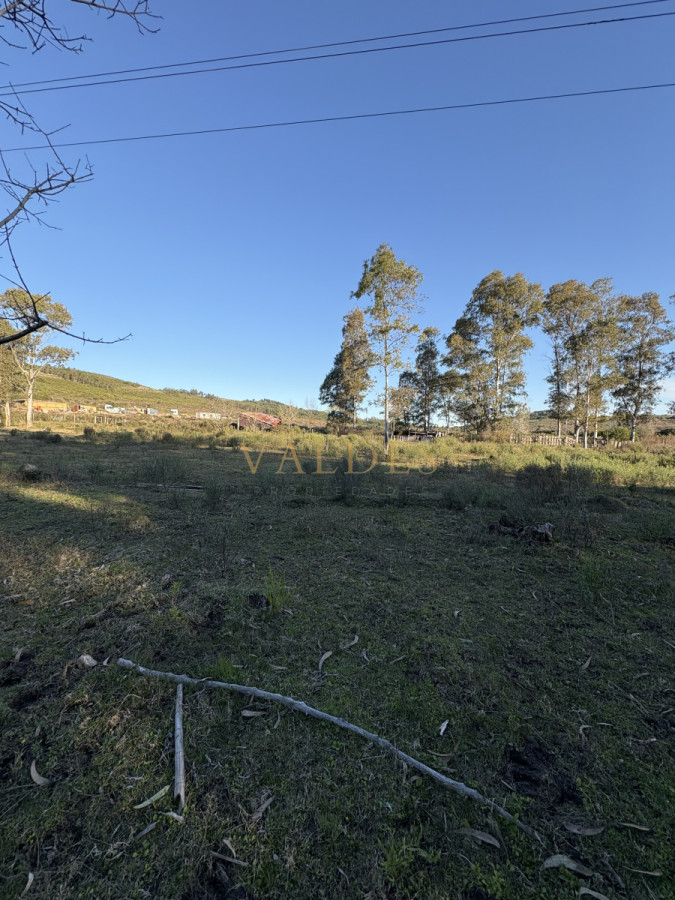 Chacra ID.4543 - Chacra en venta sobre ruta 9 