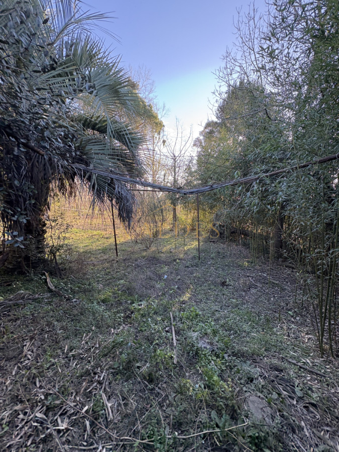 Chacra ID.4543 - Chacra en venta sobre ruta 9 