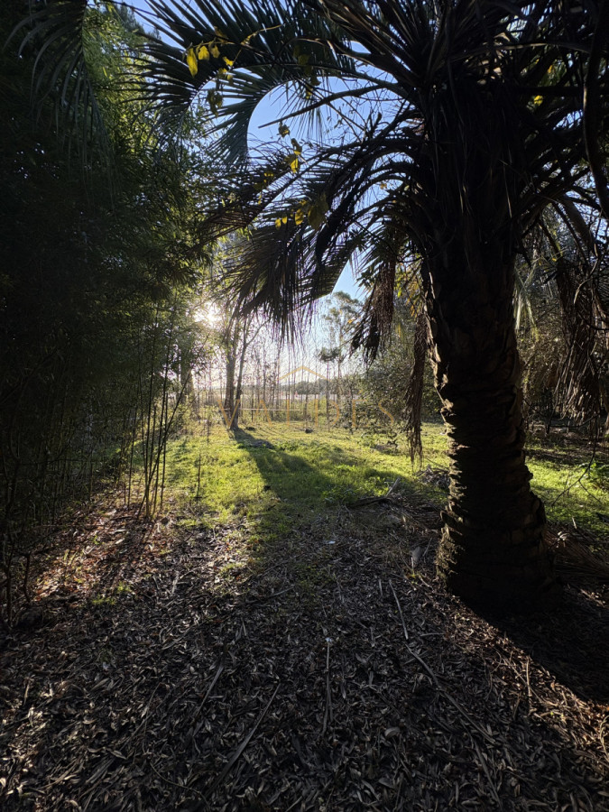 Chacra ID.4543 - Chacra en venta sobre ruta 9 