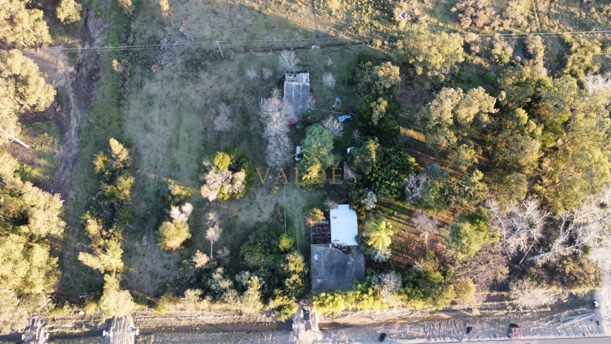 Chacra ID.4543 - Chacra en venta sobre ruta 9 