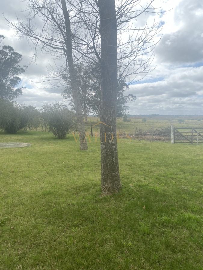 Chacra ID.163 - Linda chacra de 18has en caminos los ceibos a 20mint de Punta del Este