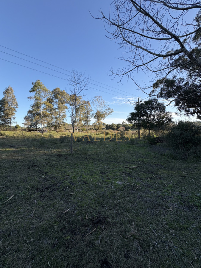 Chacra ID.4543 - Chacra en venta sobre ruta 9 