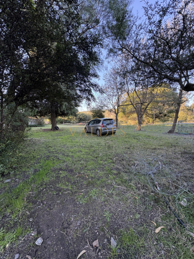 Chacra ID.4543 - Chacra en venta sobre ruta 9 