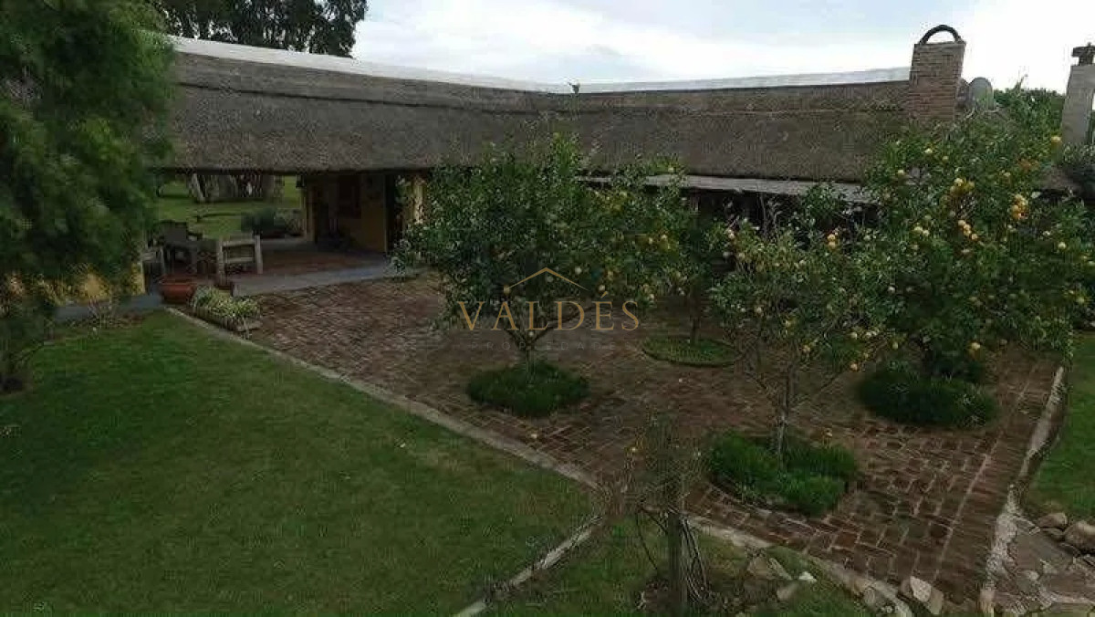 Campo Ref.76 - Espectacular campo de 96 has. indice de productividad 63