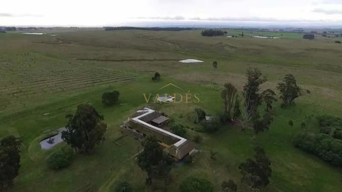 Campo Ref.76 - Espectacular campo de 96 has. indice de productividad 63