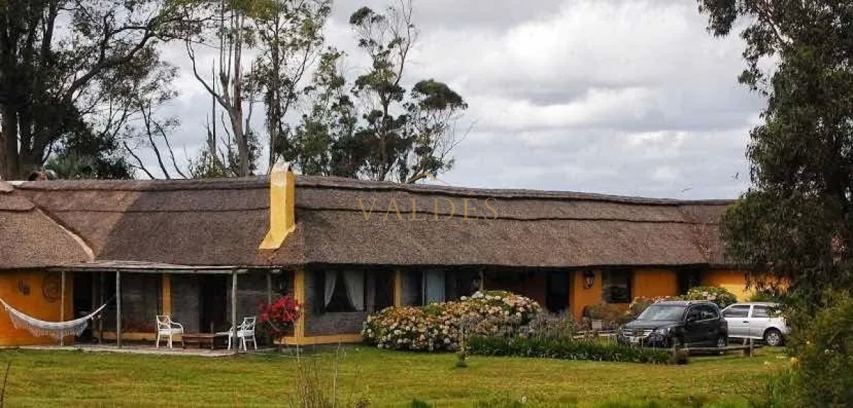 Campo Ref.76 - Espectacular campo de 96 has. indice de productividad 63