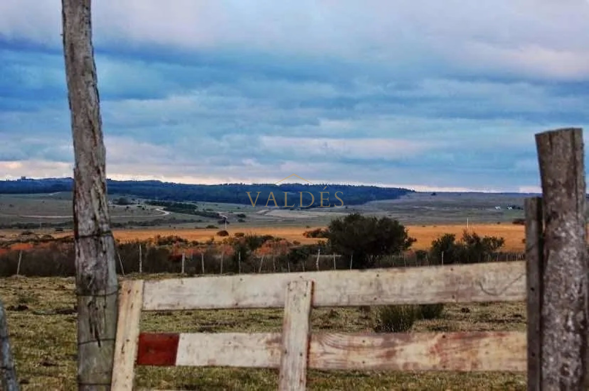 Campo Ref.76 - Espectacular campo de 96 has. indice de productividad 63