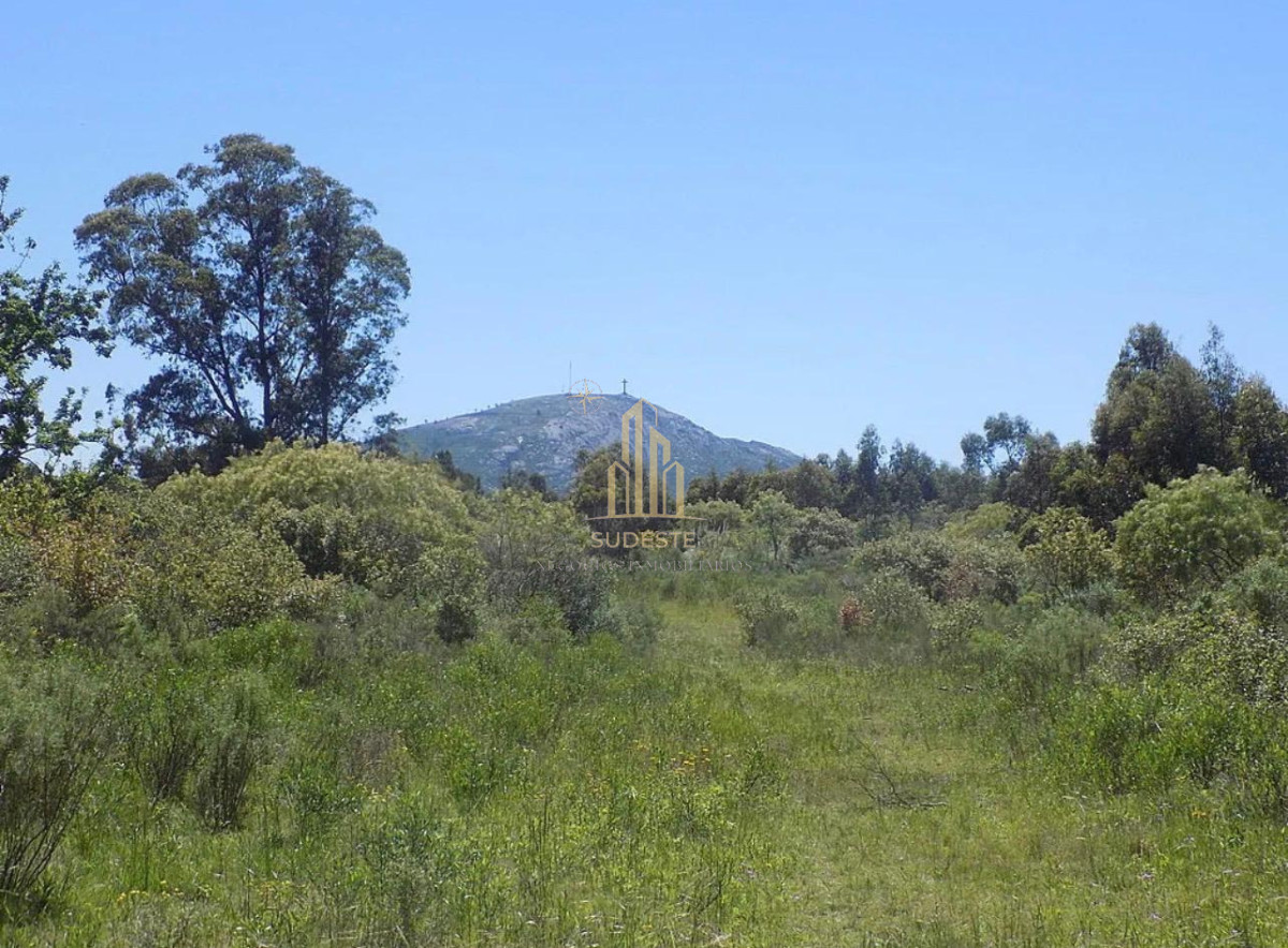 Chacra ID.16 - Venta de Chacra Excelente oportunidad en Playa Grande