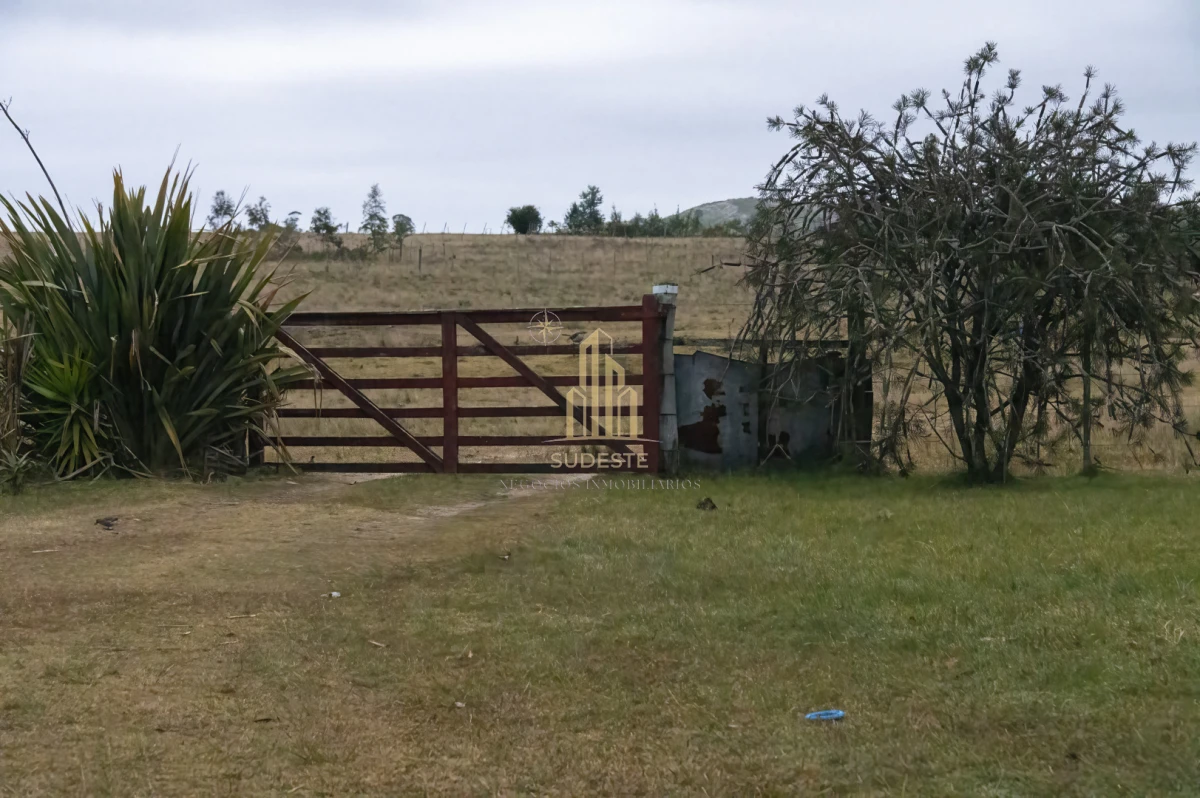 Chacra ID.37 - Chacra en venta con casa de Campo entre las sierras Abras de Perdomo 