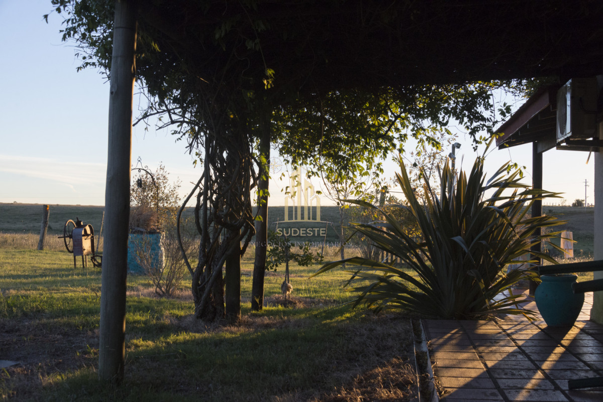 Chacra ID.37 - Chacra en venta con casa de Campo entre las sierras Abras de Perdomo 