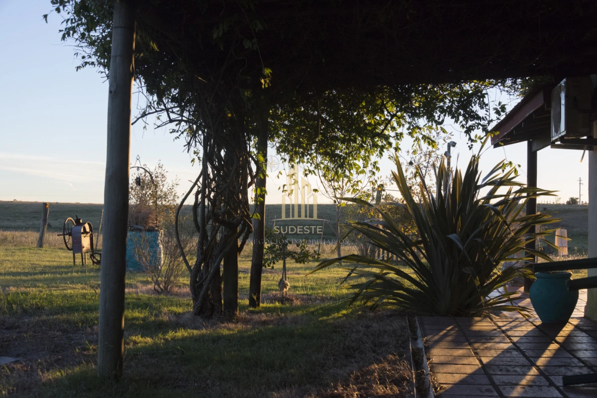 Chacra ID.37 - Chacra en venta con casa de Campo entre las sierras Abras de Perdomo 