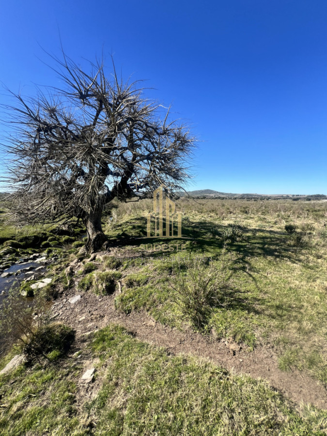 Chacra ID.3 - Chacra en Nueva Carrara 10 hectáreas 