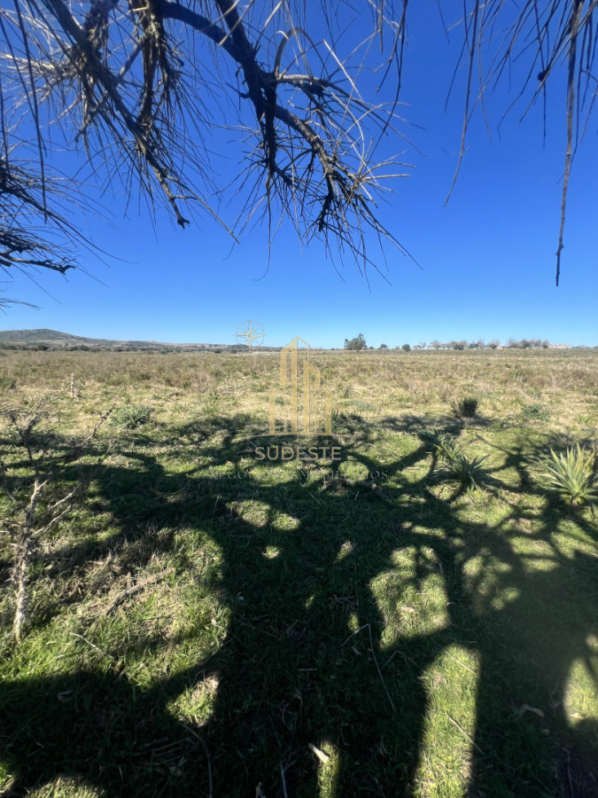 Chacra ID.3 - Chacra en Nueva Carrara 10 hectáreas 