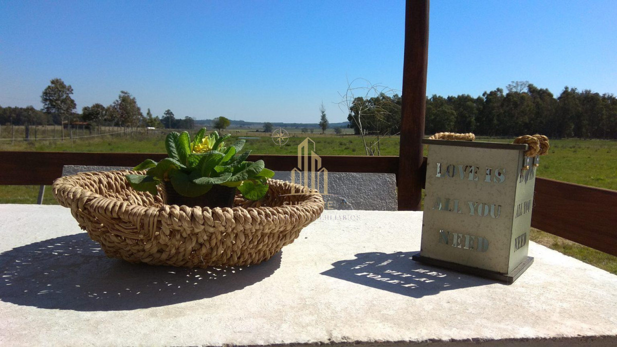 Chacra ID.56 - 🌿 Chacra en venta en Cuchilla Alta - Naturaleza, confort y renta asegurada 🌊