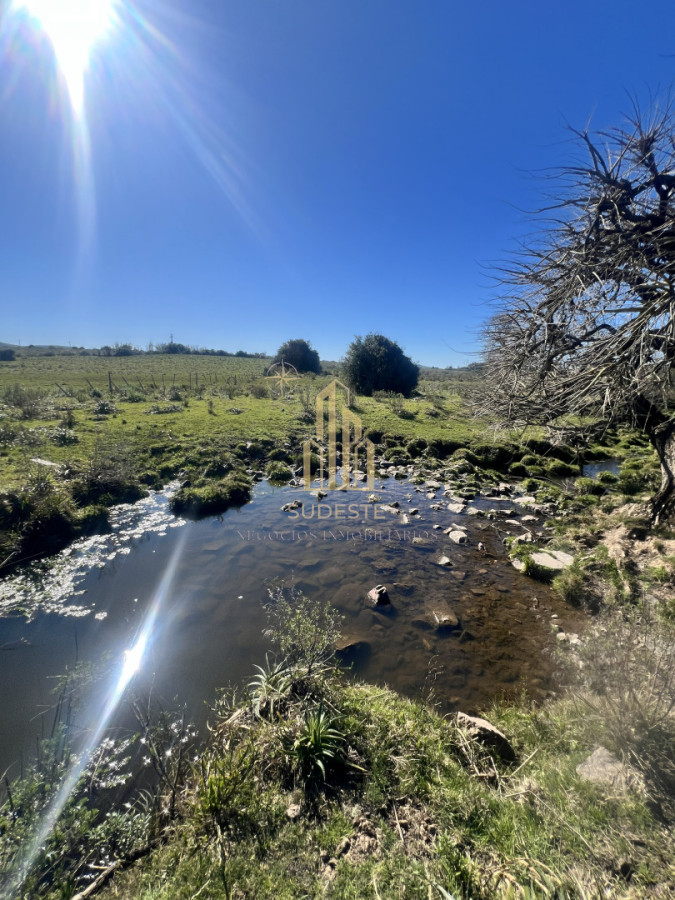 Chacra ID.3 - Chacra en Nueva Carrara 10 hectáreas 