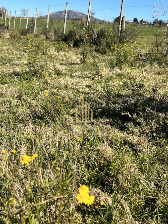 Chacra ID.3 - Chacra en Nueva Carrara 10 hectáreas 