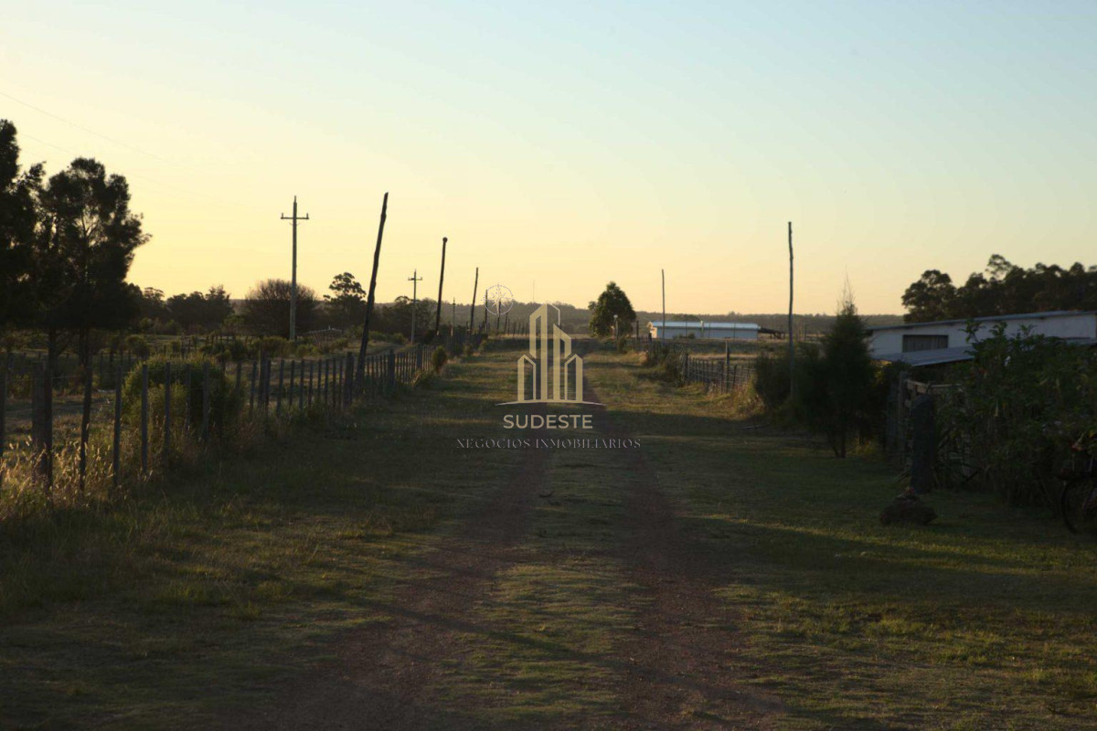 Chacra ID.56 - 🌿 Chacra en venta en Cuchilla Alta - Naturaleza, confort y renta asegurada 🌊