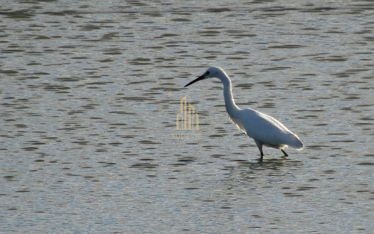 Chacra ID.37 - Chacra en venta con casa de Campo entre las sierras Abras de Perdomo 