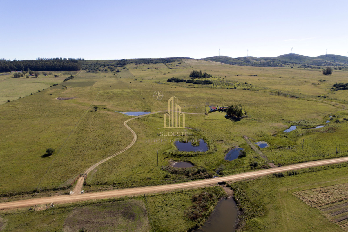 Chacra ID.37 - Chacra en venta con casa de Campo entre las sierras Abras de Perdomo 