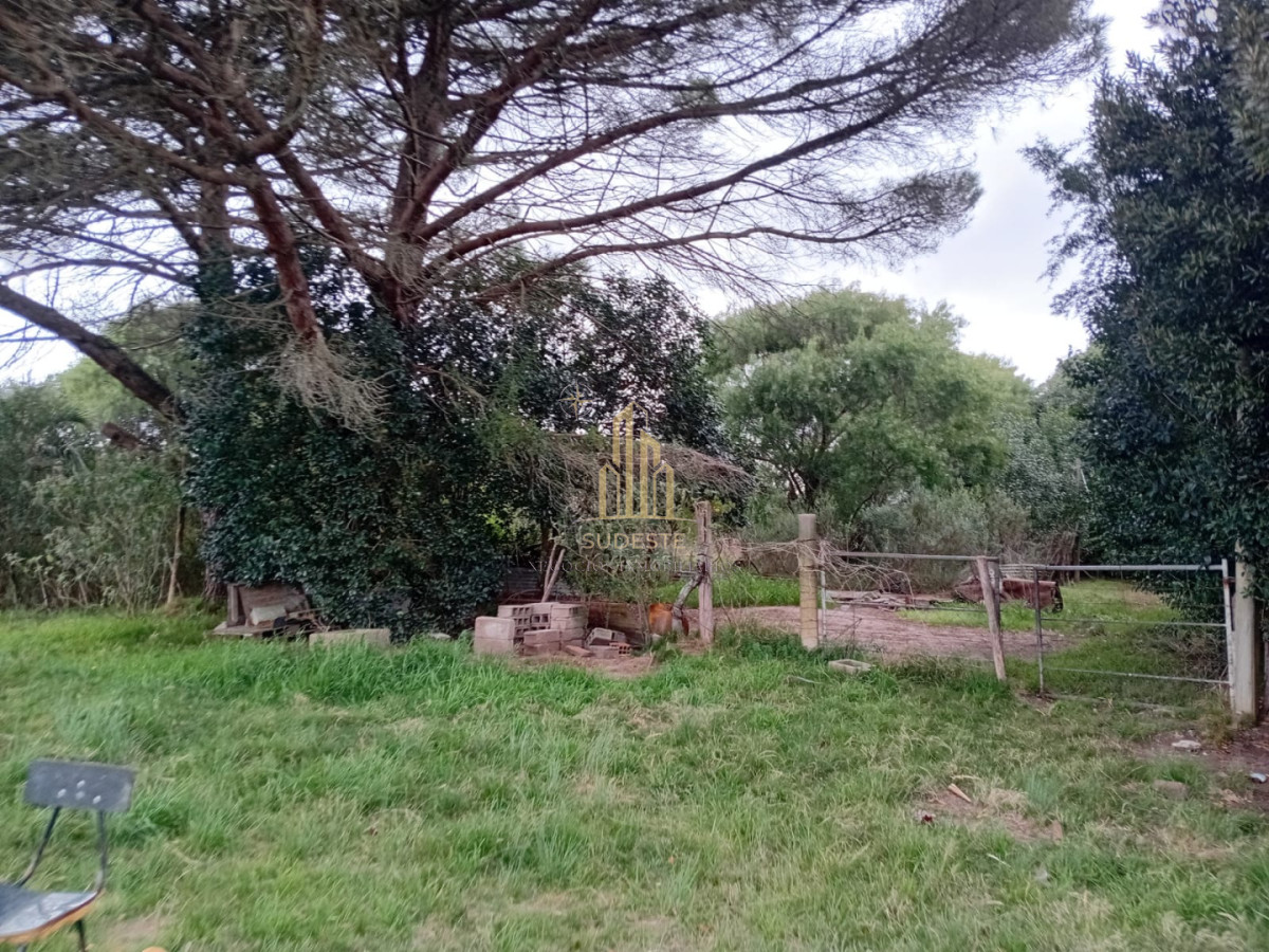 Chacra ID.137 - Venta de Chacra en Pan de Azúcar de 3,2 hectáreas con Cabaña y Casa 