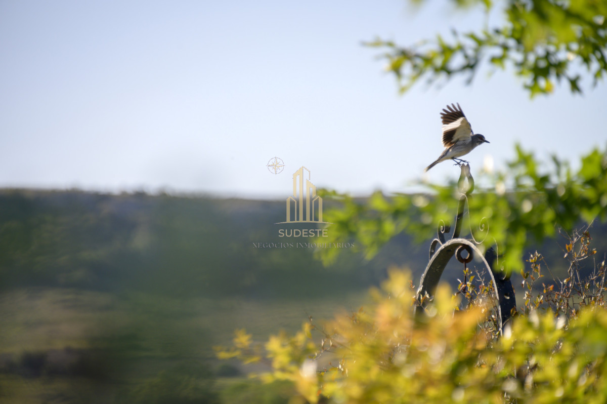 Chacra ID.37 - Chacra en venta con casa de Campo entre las sierras Abras de Perdomo 