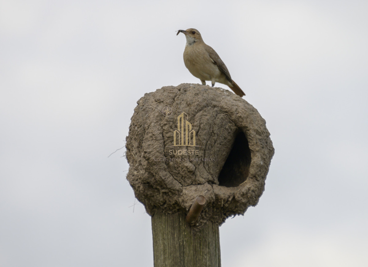 Chacra ID.37 - Chacra en venta con casa de Campo entre las sierras Abras de Perdomo 