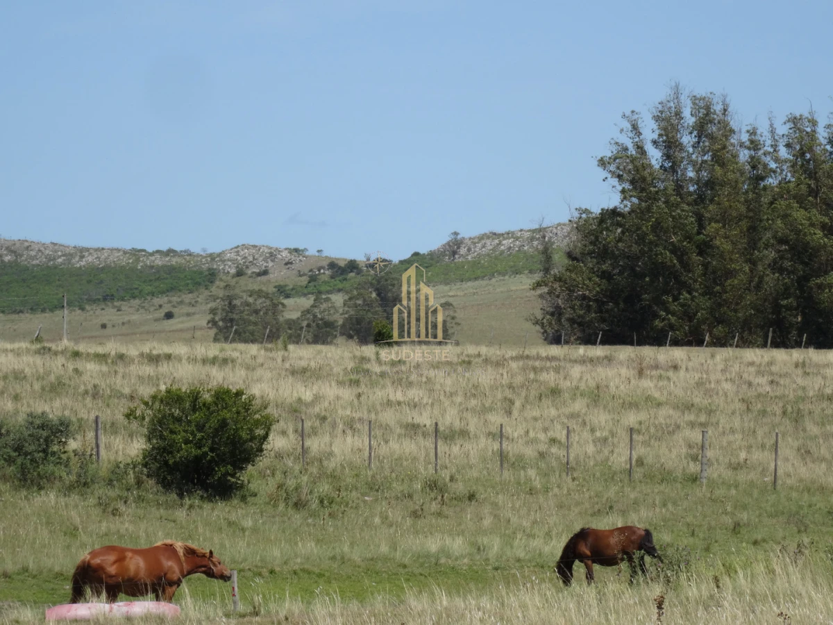 Chacra ID.37 - Chacra en venta con casa de Campo entre las sierras Abras de Perdomo 
