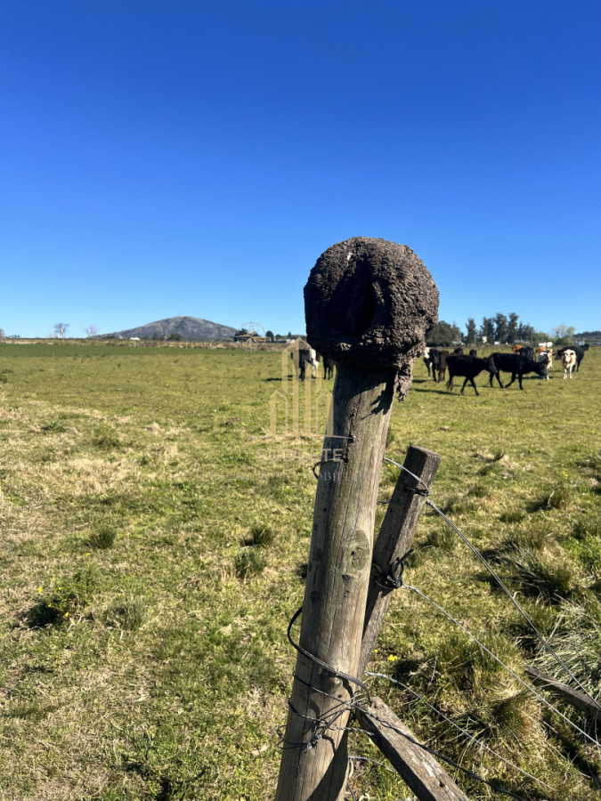 Chacra ID.3 - Chacra en Nueva Carrara 10 hectáreas 
