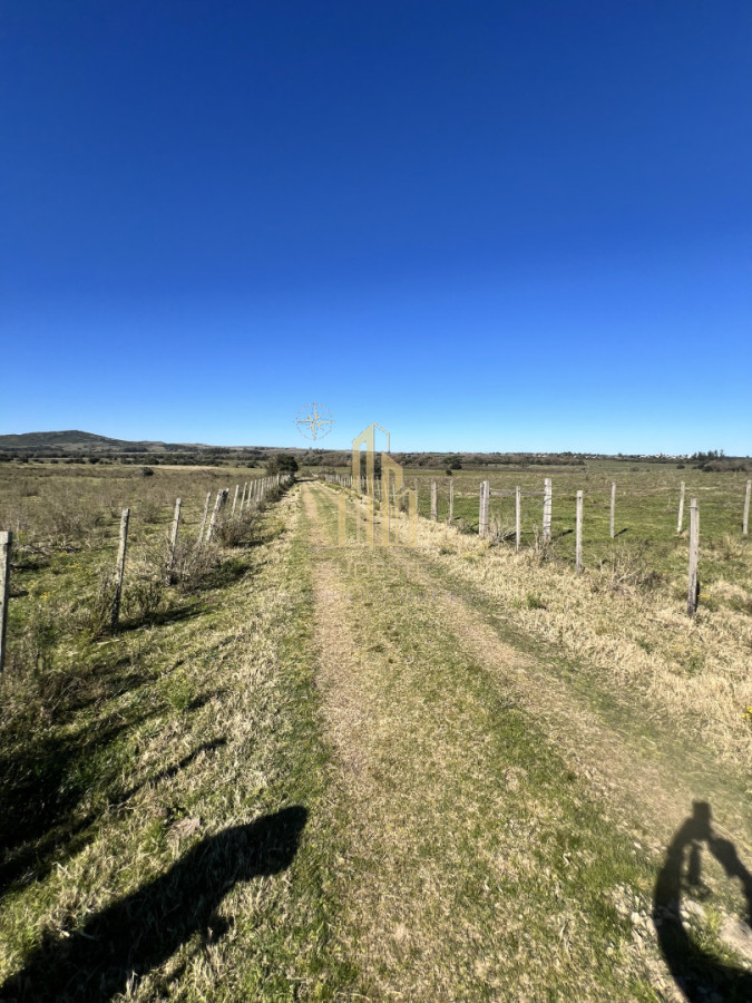Chacra ID.3 - Chacra en Nueva Carrara 10 hectáreas 