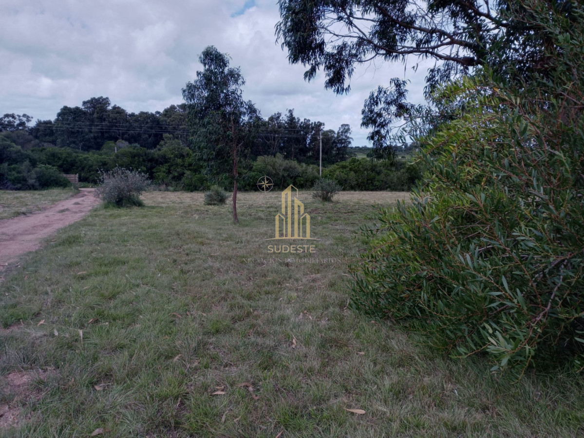 Chacra ID.137 - Venta de Chacra en Pan de Azúcar de 3,2 hectáreas con Cabaña y Casa 