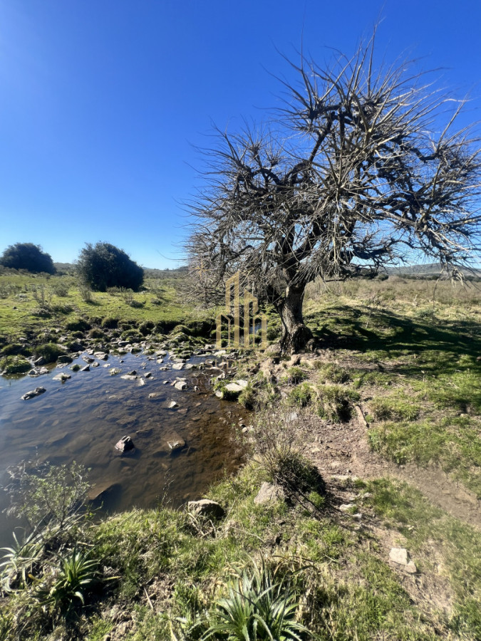 Chacra ID.3 - Chacra en Nueva Carrara 10 hectáreas 