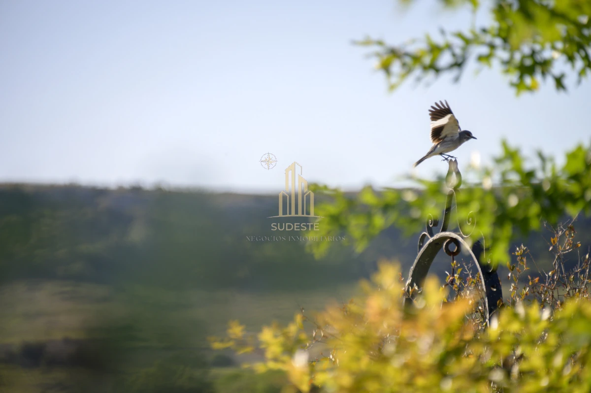 Chacra ID.37 - Chacra en venta con casa de Campo entre las sierras Abras de Perdomo 