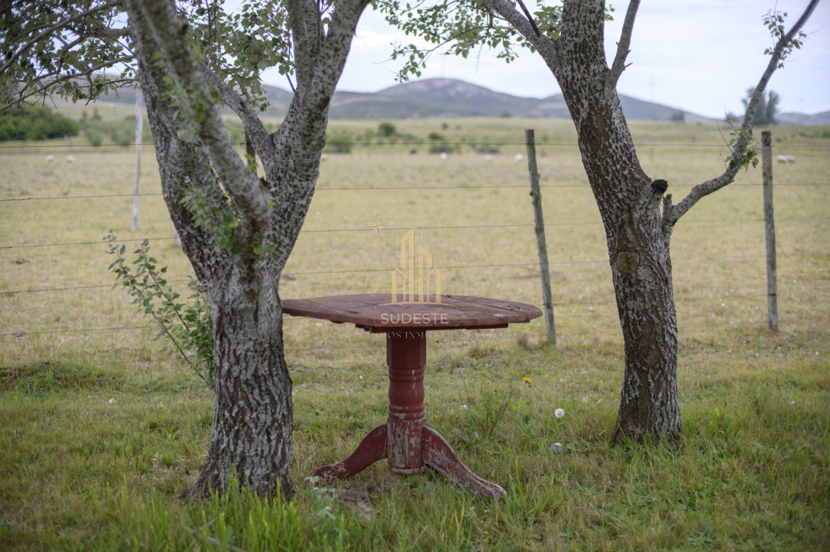 Chacra ID.37 - Chacra en venta con casa de Campo entre las sierras Abras de Perdomo 