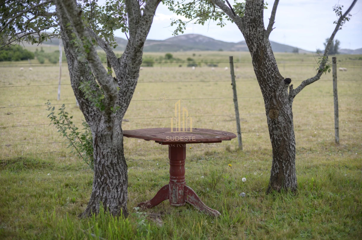 Chacra ID.37 - Chacra en venta con casa de Campo entre las sierras Abras de Perdomo 