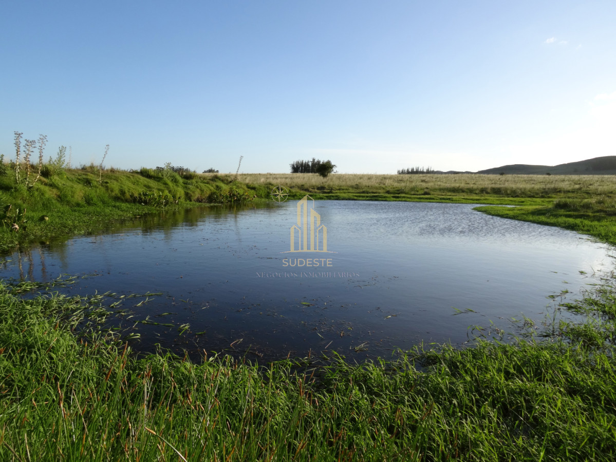 Chacra ID.37 - Chacra en venta con casa de Campo entre las sierras Abras de Perdomo 